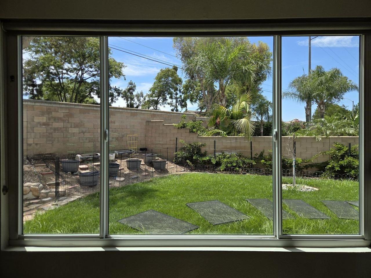 View of a backyard through freshly cleaned sliding glass doors